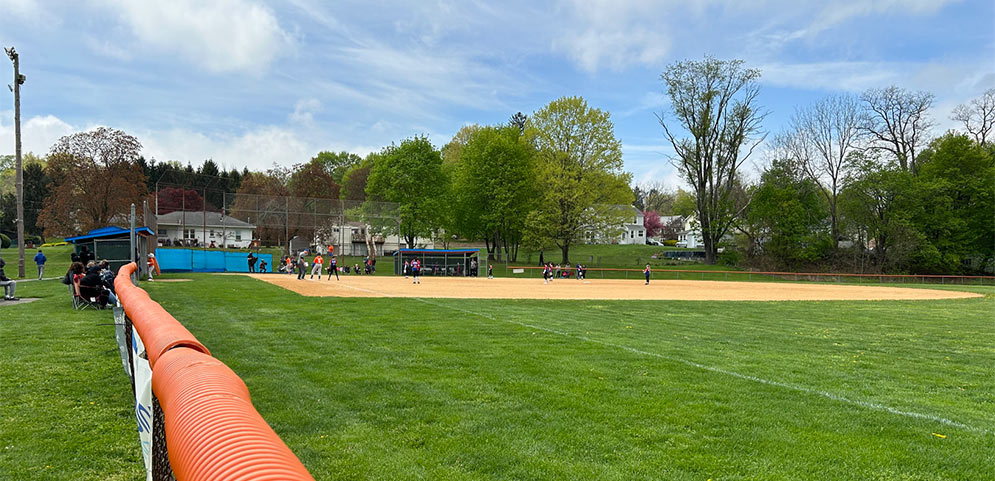 Play Ball! Spring 2024 is Underway!